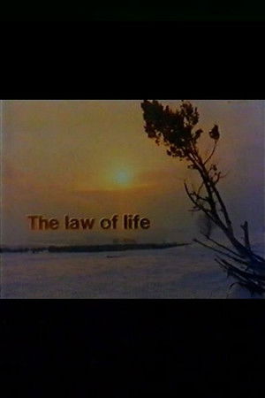 The Law of Life The Law of Life