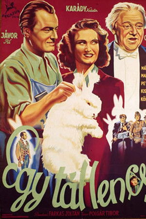 A Bowl of Lentils A Bowl of Lentils