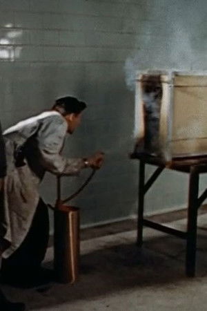 Setting Fires for Science Setting Fires for Science