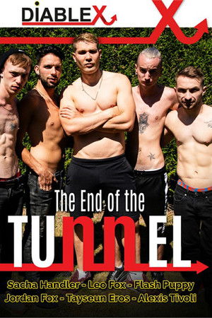 At the End of the Tunnel At the End of the Tunnel