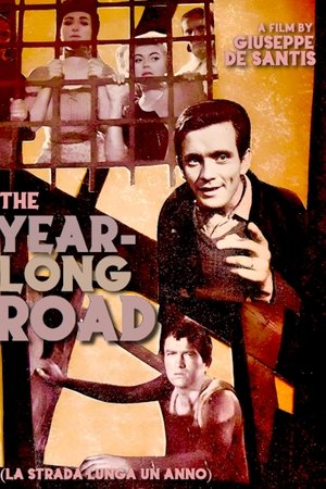 The Year Long Road