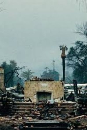 The First Rain The First Rain