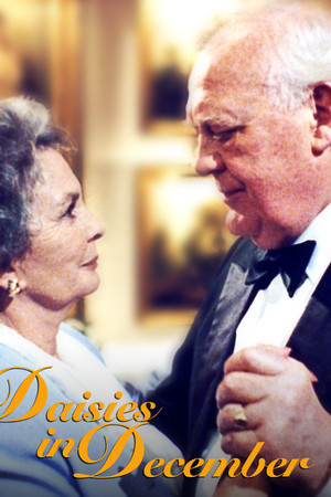 Daisies in December Daisies in December