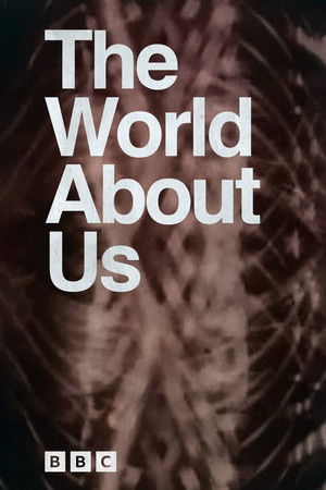 The World About Us The World About Us