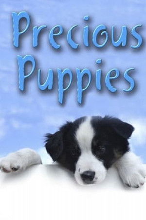 Precious Puppies Precious Puppies