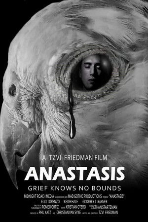 Anastasis Anastasis