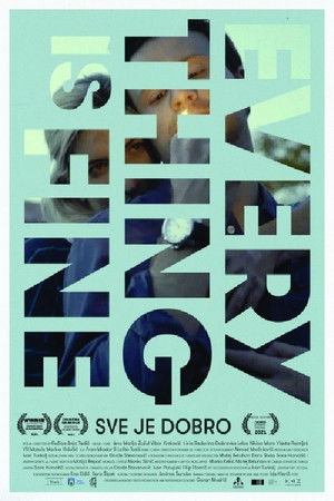 Everything Is Fine Everything Is Fine