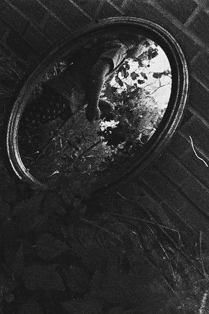 Sol Alegria Del Mare Alias Yume Nikki Sol Alegria Del Mare Alias Yume Nikki