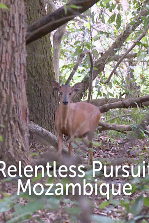 Mozambique Mozambique