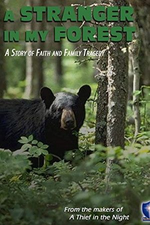 A Stranger in My Forest A Stranger in My Forest