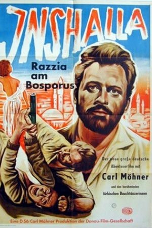 Inshalla - Razzia am Bosporus