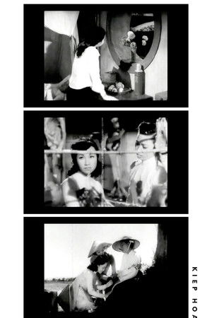 Life of a Flower Life of a Flower