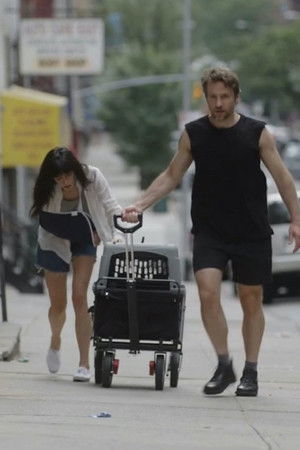 Strange Animals Strange Animals