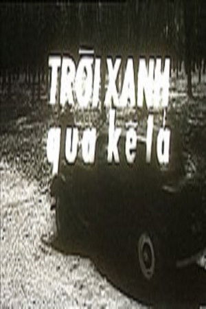 Cards on the Table: Blue Sky in the Split of Leaf Cards on the Table: Blue Sky in the Split of Leaf