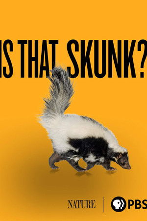 Is That Skunk? Is That Skunk?