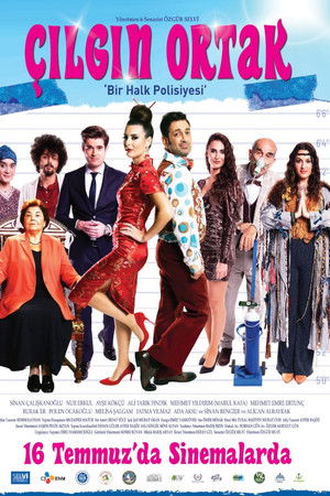 Çılgın Ortak Çılgın Ortak