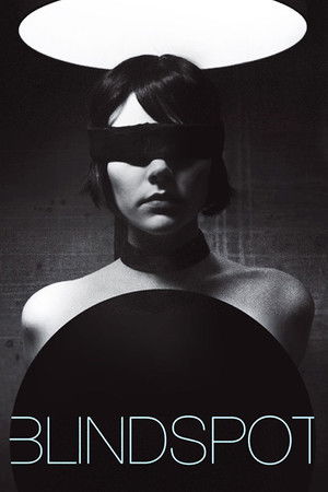 Blindspot Blindspot