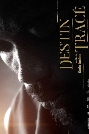 Destiny Traced Destiny Traced