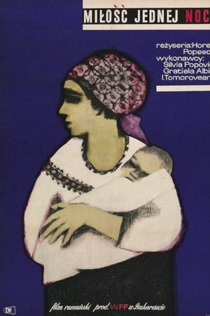 A Night Long Love A Night Long Love