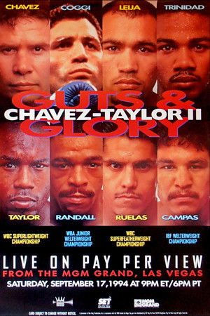 Julio César Chávez vs. Meldrick Taylor II