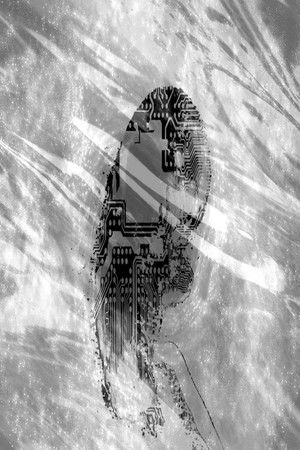 Anthropic Principle Anthropic Principle