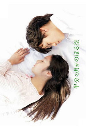 Looking Up at the Half-Moon Looking Up at the Half-Moon