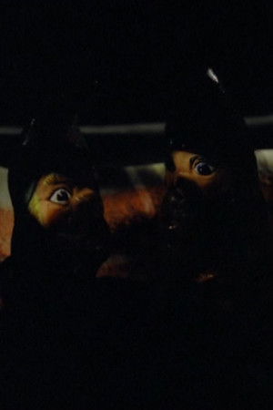 Car Booty – Gnomes Car Booty – Gnomes