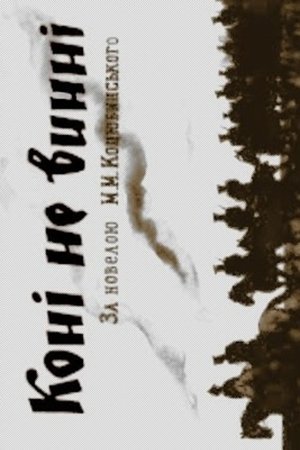 The Horses Are Not Guilty The Horses Are Not Guilty