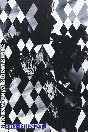 SUPER JUNIOR-D&E JAPAN TOUR 2015 -PRESENT-