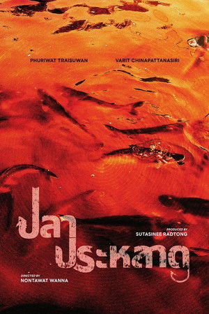 Strange Fish Strange Fish