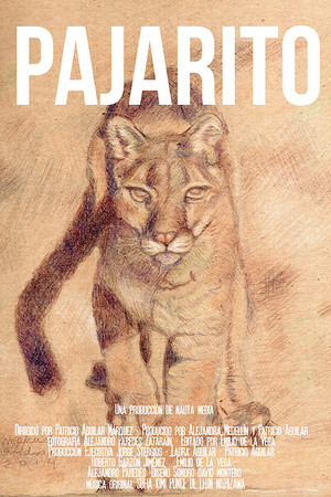 Pajarito Pajarito