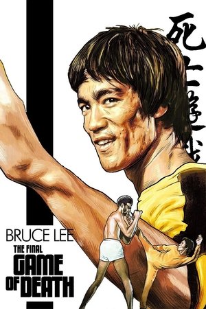 The Final Game of Death The Final Game of Death