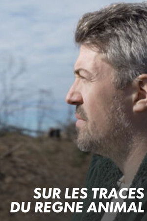 Sur les traces du règne animal Sur les traces du règne animal