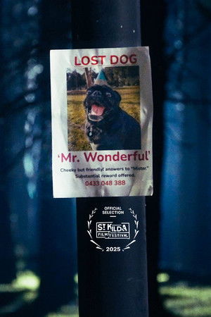 Mr. Wonderful Mr. Wonderful