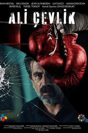 Ali Çevlik Ali Çevlik