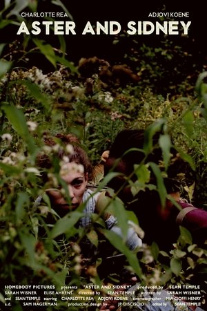 Aster and Sidney Aster and Sidney