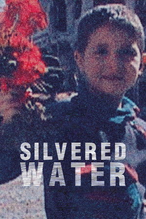 Silvered Water Silvered Water