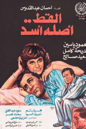 The cat is originally a lion The cat is originally a lion