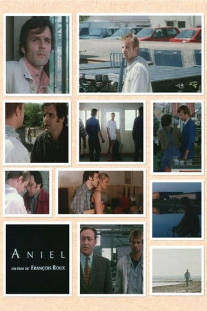 Aniel Aniel