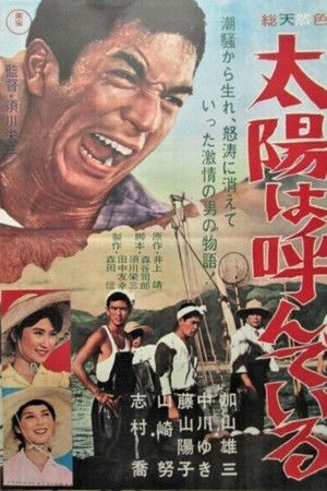 The Sun is Calling You The Sun is Calling You