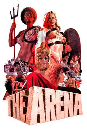 The Arena The Arena