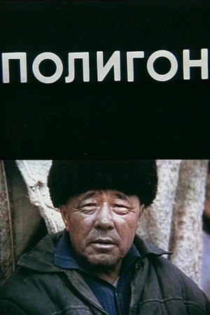 The Polygon The Polygon