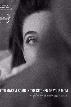 How to Make a Bomb in the Kitchen of Your Mom How to Make a Bomb in the Kitchen of Your Mom