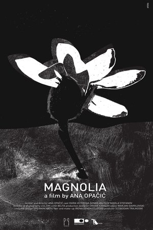 Magnolia Magnolia