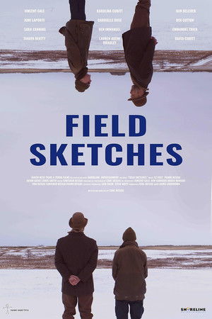 Field Sketches