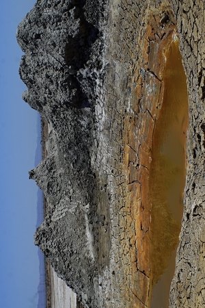 The Deep West Assembly