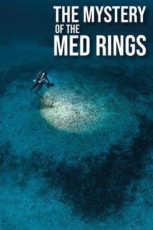 The Mystery of the Med Rings The Mystery of the Med Rings