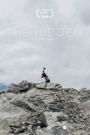 The Hidden