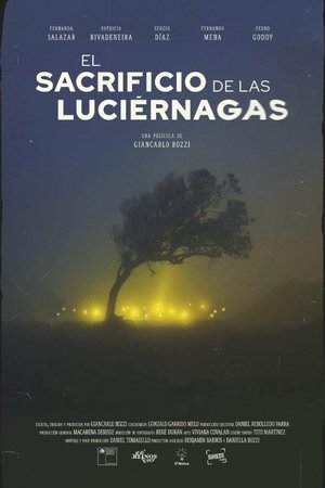 El Sacrificio de las Luciernagas El Sacrificio de las Luciernagas