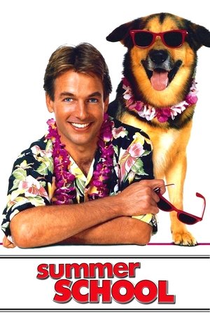 Summer School Summer School